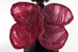 http://www.jasminesmail.co.uk/files/gimgs/th-14_Fairy wings, 2021 website_v3.jpg